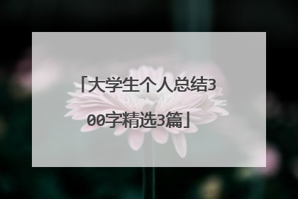 大学生个人总结300字精选3篇