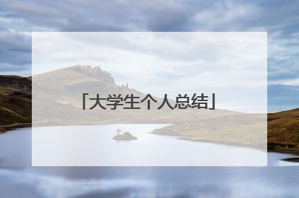 大学生个人总结