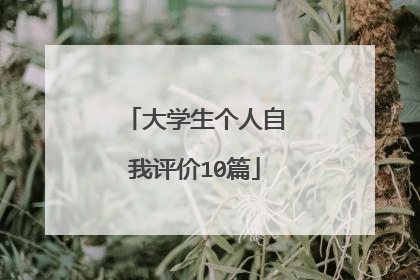 大学生个人自我评价10篇