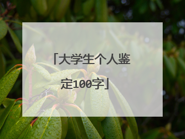 大学生个人鉴定100字