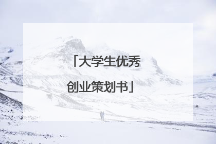 大学生优秀创业策划书