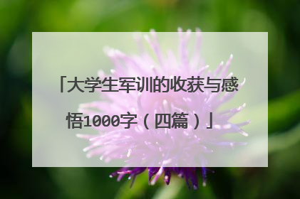 大学生军训的收获与感悟1000字(四篇)