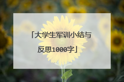 大学生军训小结与反思1000字