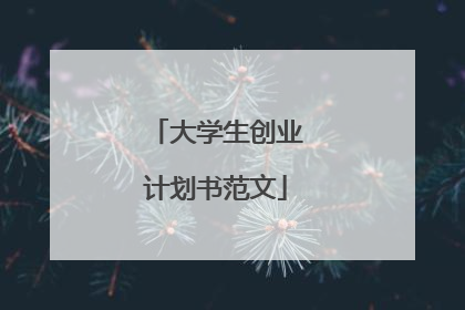 大学生创业计划书范文