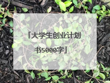 大学生创业计划书5000字