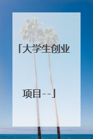 大学生创业项目--