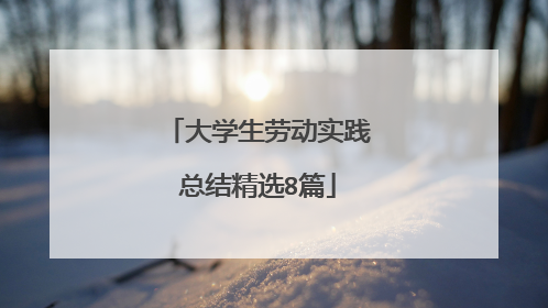 大学生劳动实践总结精选8篇