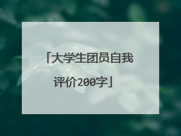 大学生团员自我评价200字