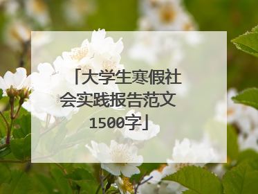 大学生寒假社会实践报告范文1500字