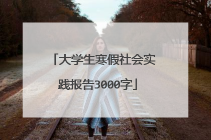 大学生寒假社会实践报告3000字