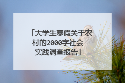 大学生寒假关于农村的2000字社会实践调查报告