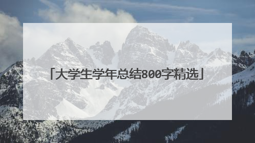 大学生学年总结800字精选