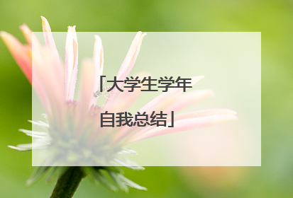 大学生学年自我总结