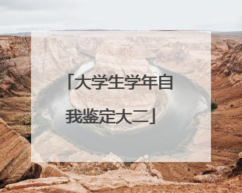 大学生学年自我鉴定大二