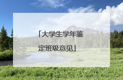 大学生学年鉴定班级意见