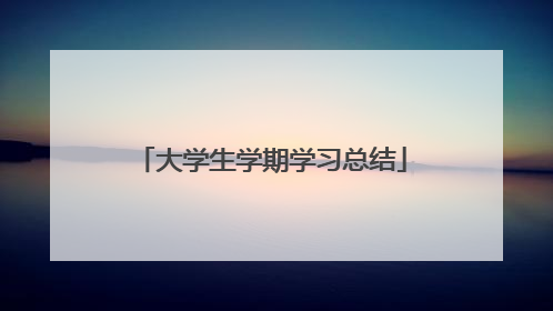 大学生学期学习总结