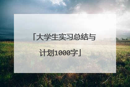 大学生实习总结与计划1000字