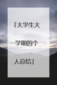 大学生大一学期的个人总结