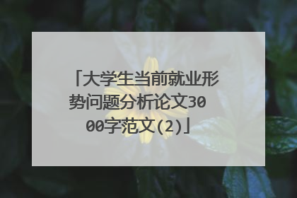 大学生当前就业形势问题分析论文3000字范文(2)