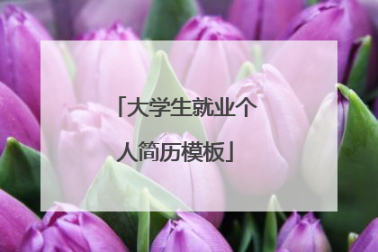 大学生就业个人简历模板
