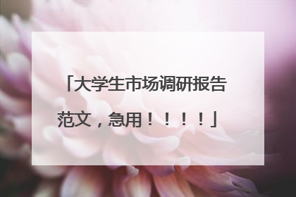 大学生市场调研报告范文，急用！！！！