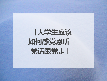 大学生应该如何感党恩听党话跟党走