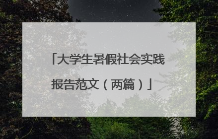 大学生暑假社会实践报告范文（两篇）