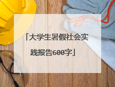 大学生暑假社会实践报告600字