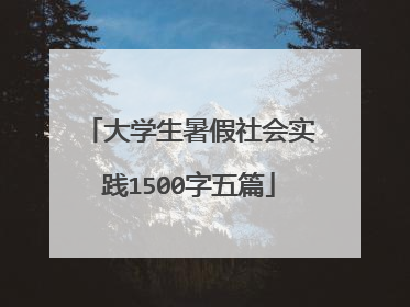 大学生暑假社会实践1500字五篇