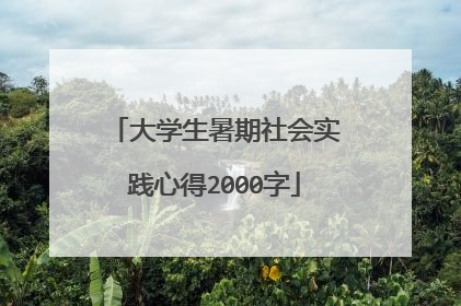 大学生暑期社会实践心得2000字
