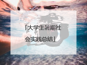 大学生暑期社会实践总结