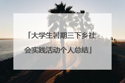 大学生暑期三下乡社会实践活动个人总结