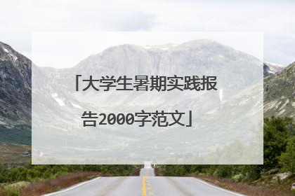 大学生暑期实践报告2000字范文