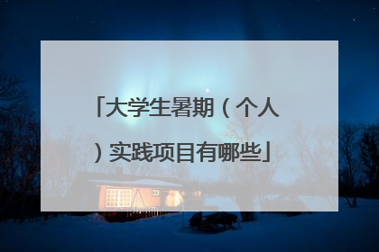 大学生暑期(个人)实践项目有哪些