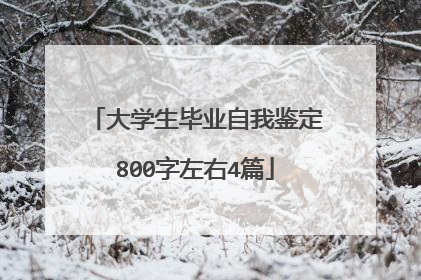 大学生毕业自我鉴定800字左右4篇