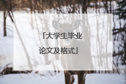 大学生毕业论文及格式