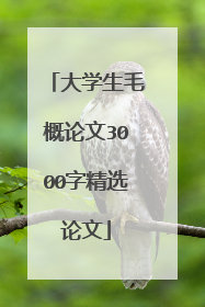 大学生毛概论文3000字精选论文