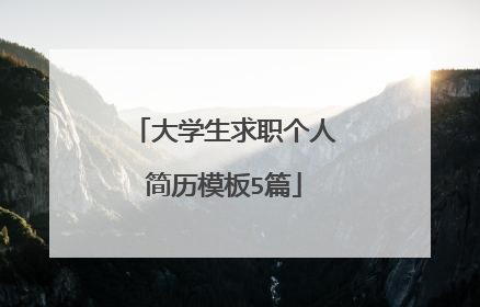 大学生求职个人简历模板5篇