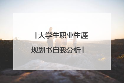大学生职业生涯规划书自我分析
