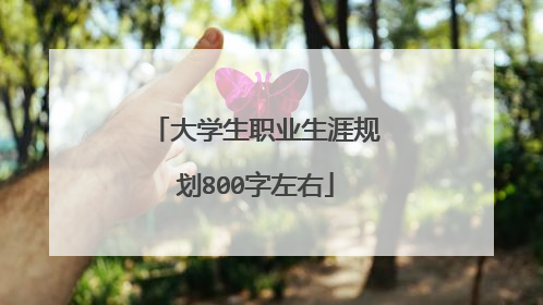 大学生职业生涯规划800字左右