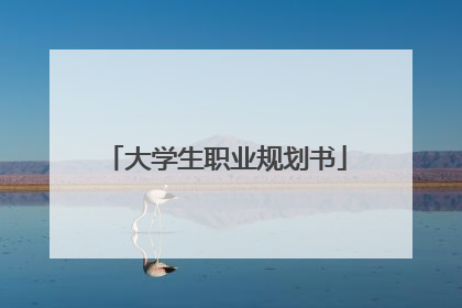 大学生职业规划书