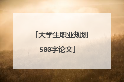 大学生职业规划500字论文