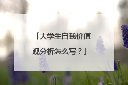 大学生自我价值观分析怎么写？