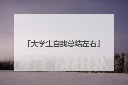 大学生自我总结左右