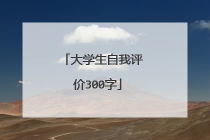 大学生自我评价300字