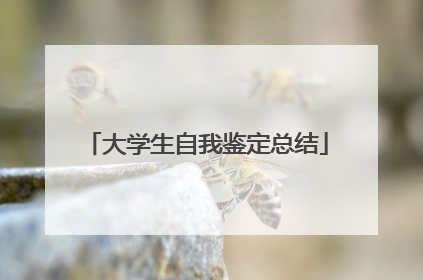 大学生自我鉴定总结