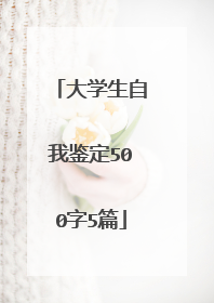 大学生自我鉴定500字5篇