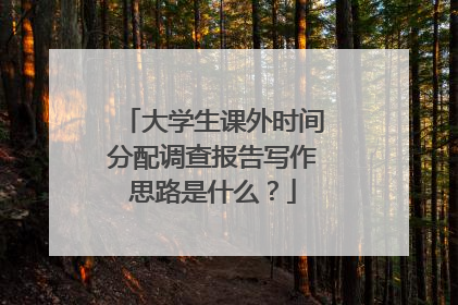 大学生课外时间分配调查报告写作思路是什么？