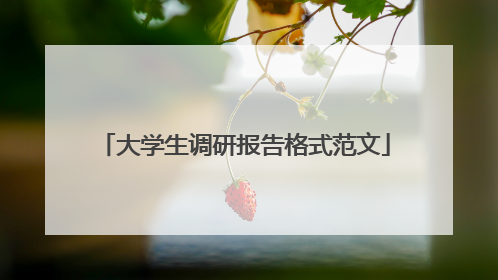 大学生调研报告格式范文