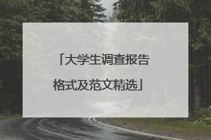 大学生调查报告格式及范文精选